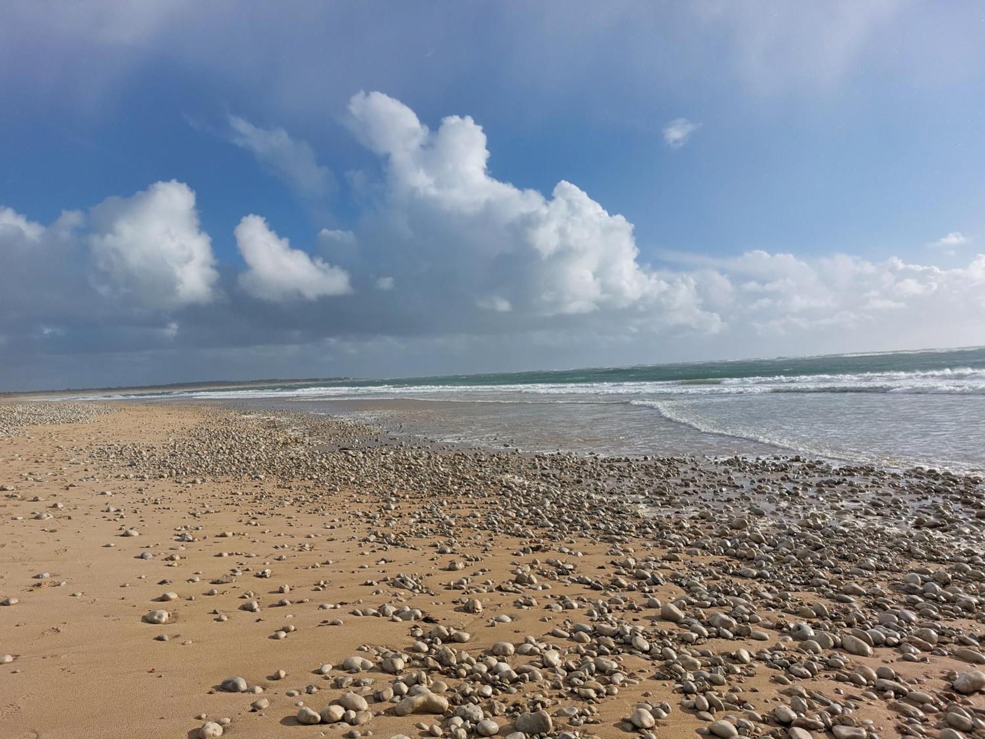 Maison A 8 Min A Pied De La Plage Avec Jardin Clos Et Ombrage Saint-Georges-d'Oleron Luaran gambar