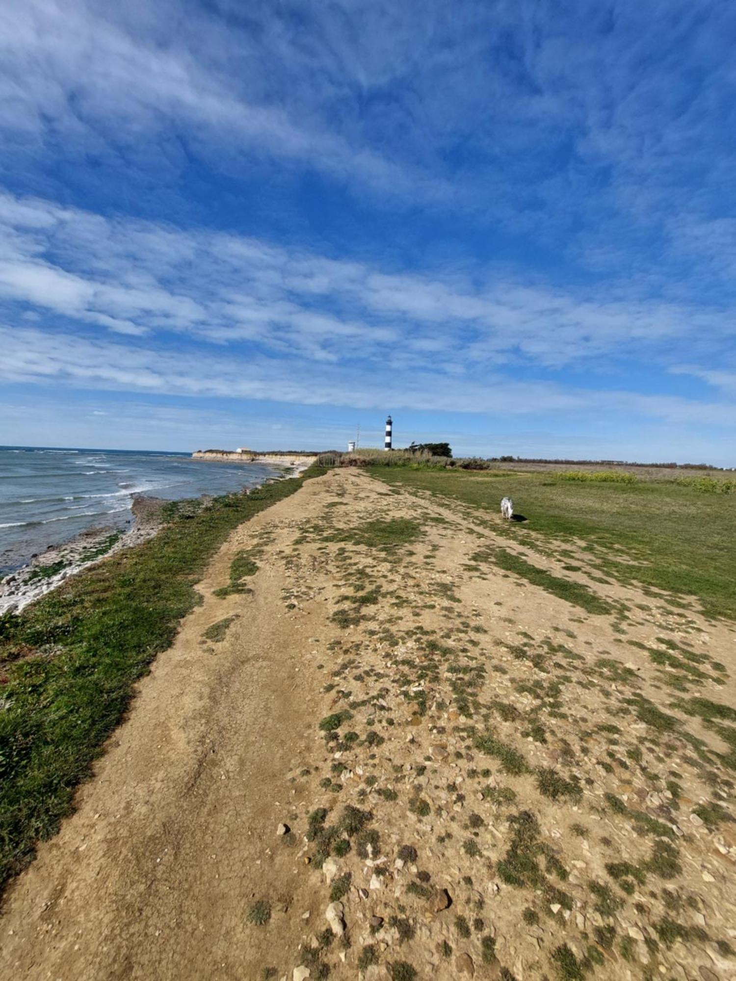 Maison A 8 Min A Pied De La Plage Avec Jardin Clos Et Ombrage Saint-Georges-d'Oleron Luaran gambar