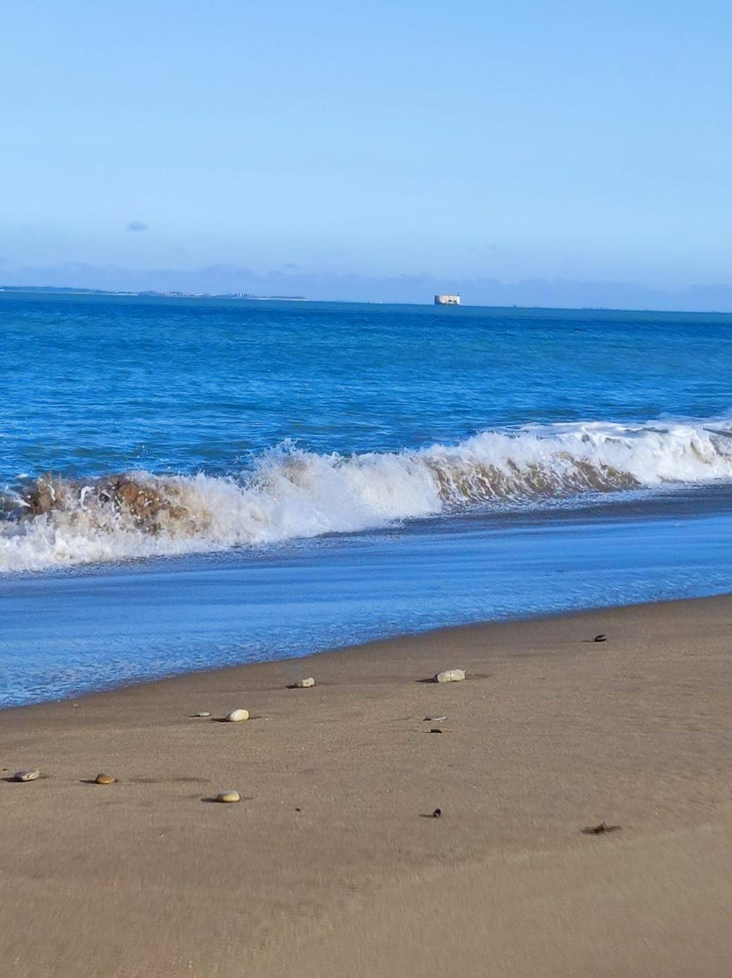Maison A 8 Min A Pied De La Plage Avec Jardin Clos Et Ombrage Saint-Georges-d'Oleron Luaran gambar